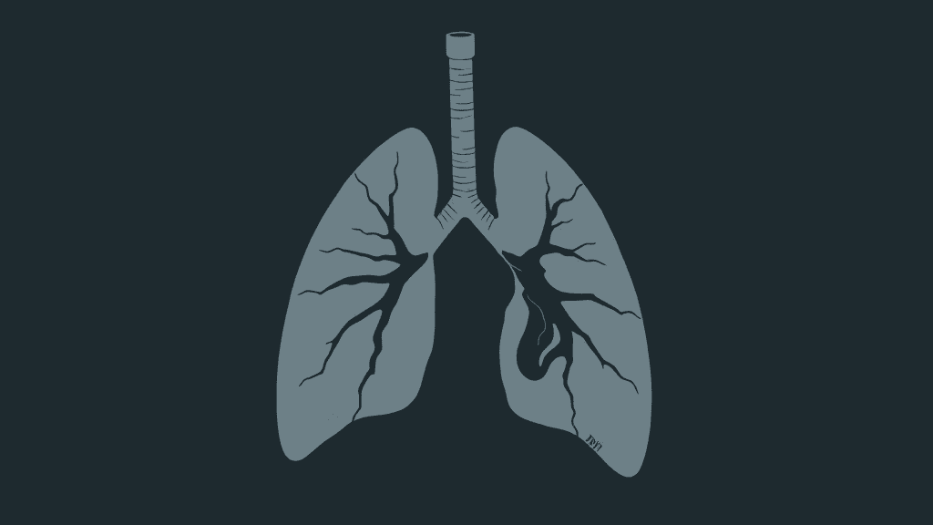 Header image for: INHALING WATER PIPE SMOKE PROVES YOUR INCOMPETENCE.



