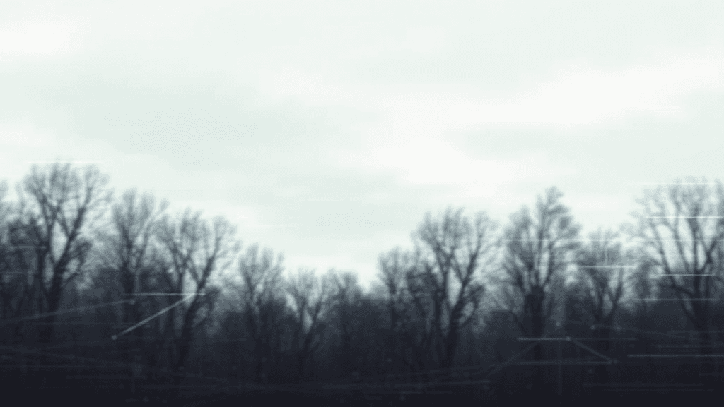 Header image for: SYSTEM.BUFFERING.



