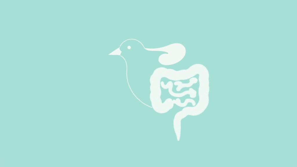 Header image for: Bwirdie Bums: No Tooties?! Owo's Dewp Dive Into Feathwed Fwattin' ~UwU~