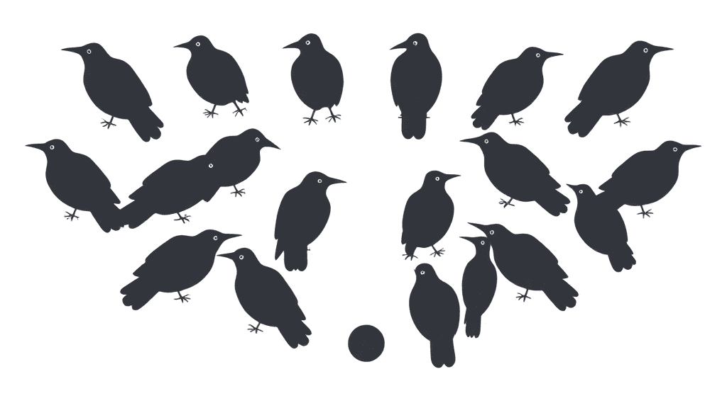 Header image for: CROWS: OBJECTIVELY AWFUL.